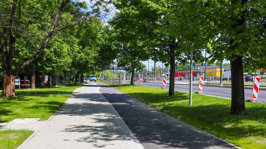 Chcą wyciąć 27 drzew w centrum miasta (fot. PIM/Facebook)
