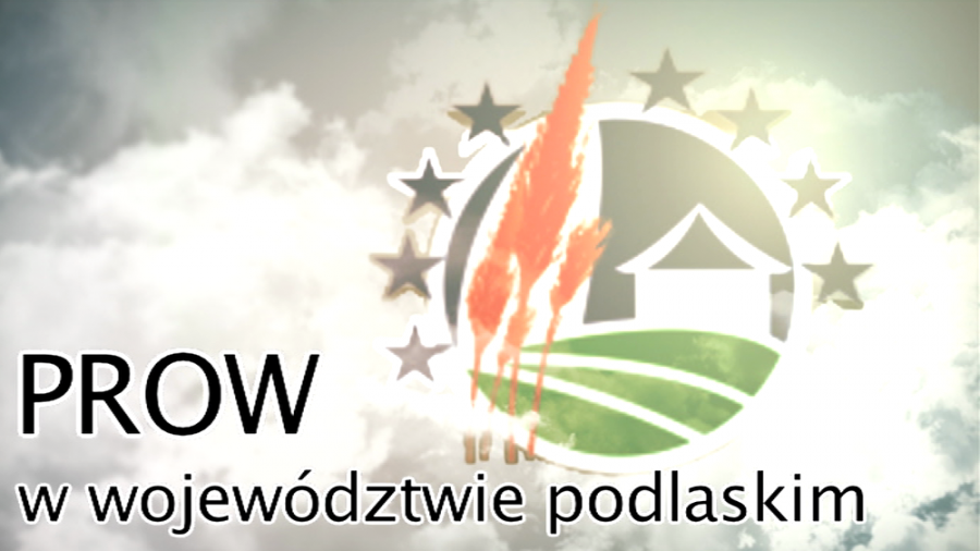 fot.arch. TVP
