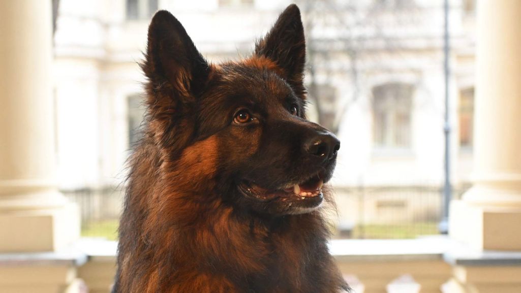 W 268. odcinku serialu „Komisarz Alex” śledczy ustalają, że ofiara otrzymała trującą substancję w drinku. Fot. Materiały prasowe TVP