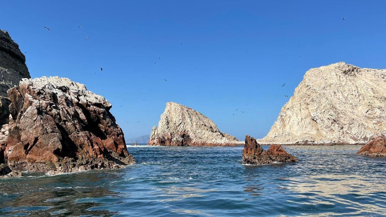 Skalne wyspy Ballestas zamieszkują lwy morskie, foki, żółwie i ponad 200 gatunków ptaków(fot. Agnieszka Wasztyl)