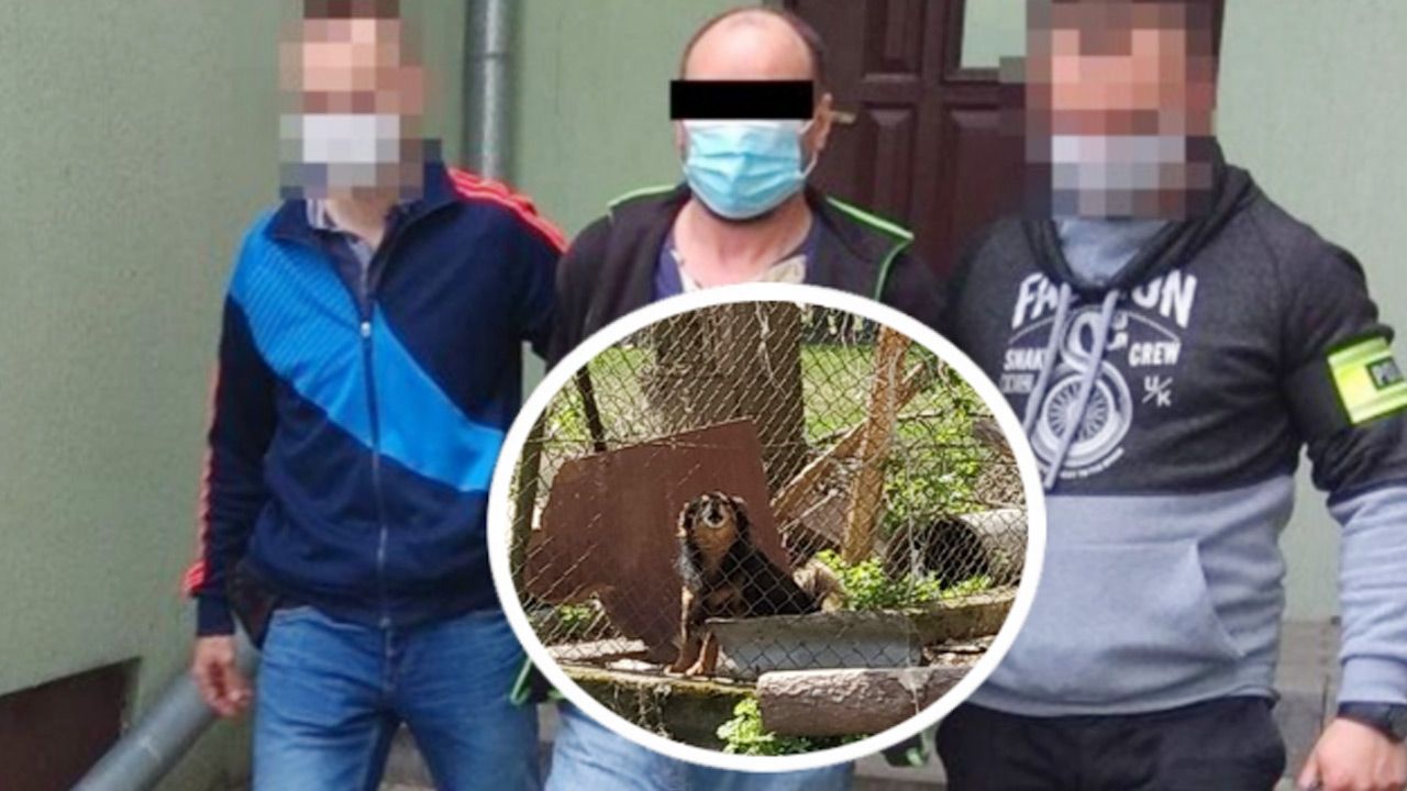 Policja zatrzymała 40–letniego mieszkańca gminy Biała Podlaska (fot. Policja) Policja zatrzymała 40–letniego mieszkańca gminy Biała Podlaska (fot. Policja)