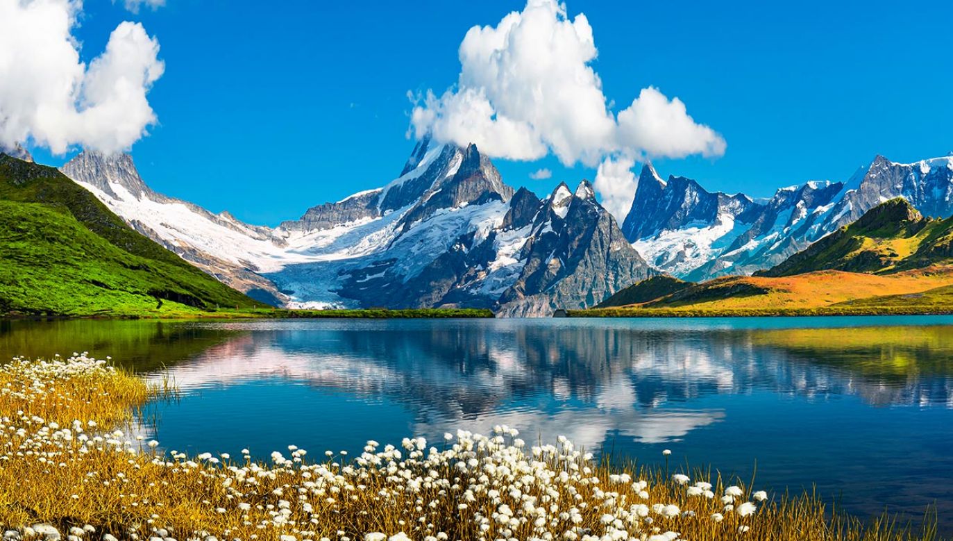 Alpy stają się coraz bardziej zielone (fot. Shutterstock/Rasto SK)