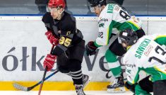 JKH GKS Jastrzębie – Comarch Cracovia (1. mecz), finał PHL (fot. TVP)