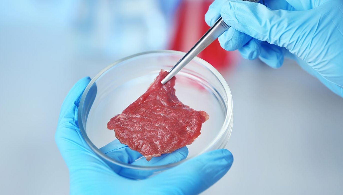 Produkcja laboratoryjna mięsa została zaproponowana jako łagodniejsza i bardziej ekologiczna alternatywa dla tradycyjnego mięsa (fot. Shutterstock/Africa Studio)