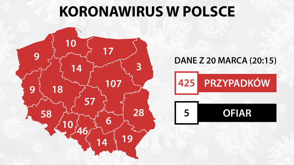 Koronawirus w Polsce. Ministerstwo Zdrowia: Potwierdzono ...
