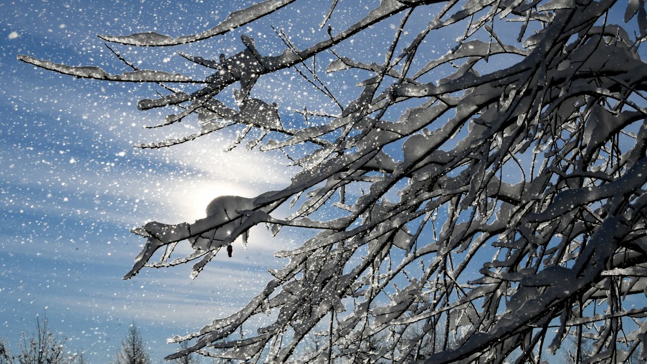 Zimowe warunki w Bieszczadach (fot. PAP)