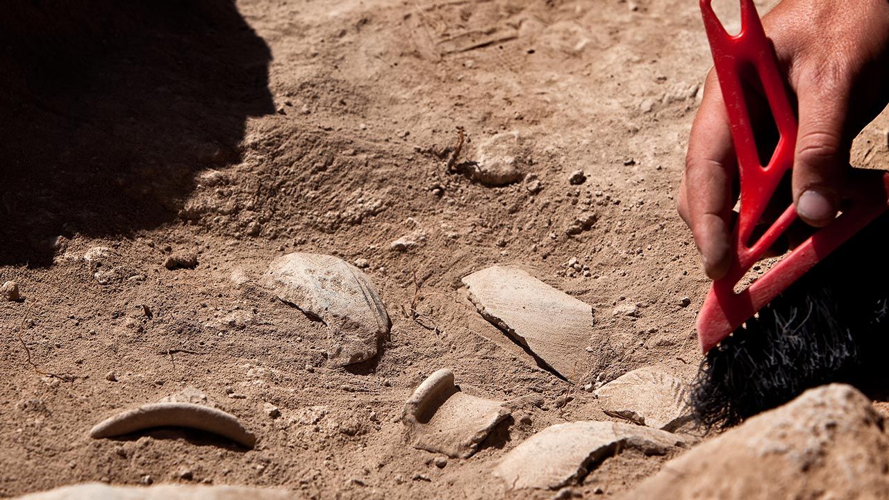 Archeolodzy odkryli grobowce w Delcie Nilu (fot. Shutterstock/Openfinal, zdjęcie ilustracyjne) Archeolodzy odkryli grobowce w Delcie Nilu (fot. Shutterstock/Openfinal, zdjęcie ilustracyjne)
