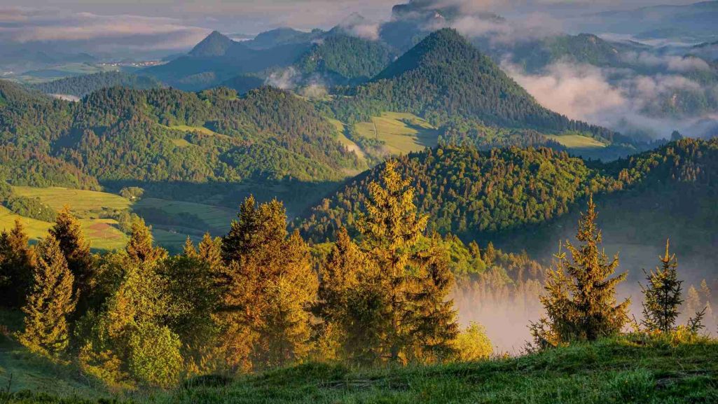 Rocznie Pieniński Park Narodowy odwiedza ponad 700 tys. turystów, co stawia go w czołówce parków najbardziej obciążonych ruchem turystycznym. Fot. Kluciar Ivan/Shutterstock