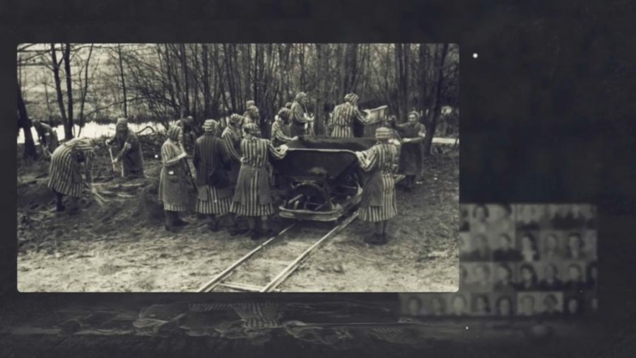 fot. TVP3 Gorzów Wlkp.