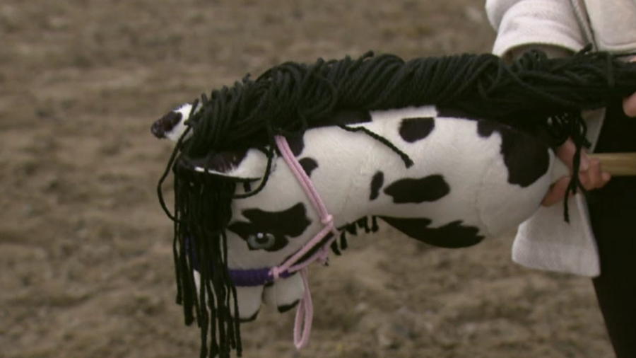 Konie szyte na miarę. Zawody na sztucznych kucykach zdobywają coraz większą popularność