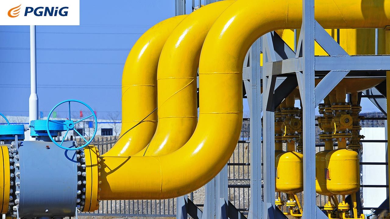 PGNiG wygrało przetarg na sprzedaż gazu ziemnego do Mołdawii (fot. Shutterstock)