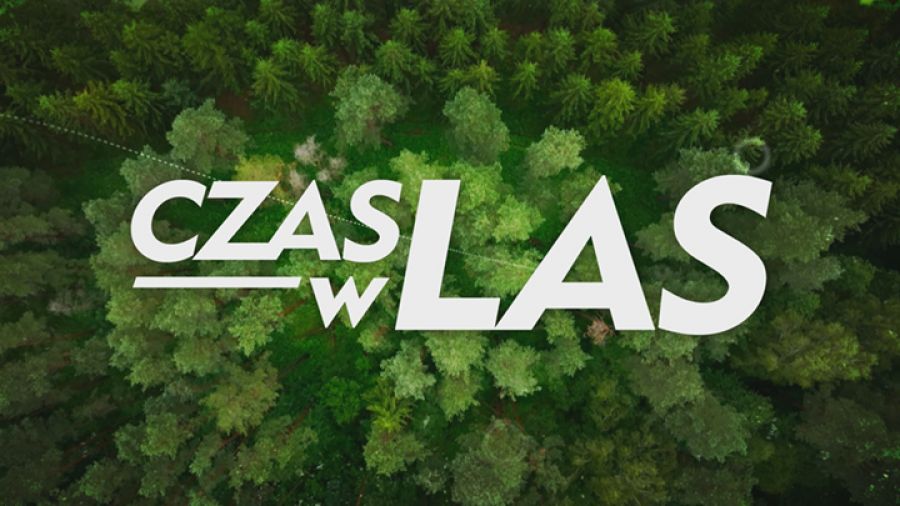 Czas w las