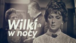 Wilki w nocy
