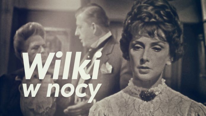 Wilki w nocy