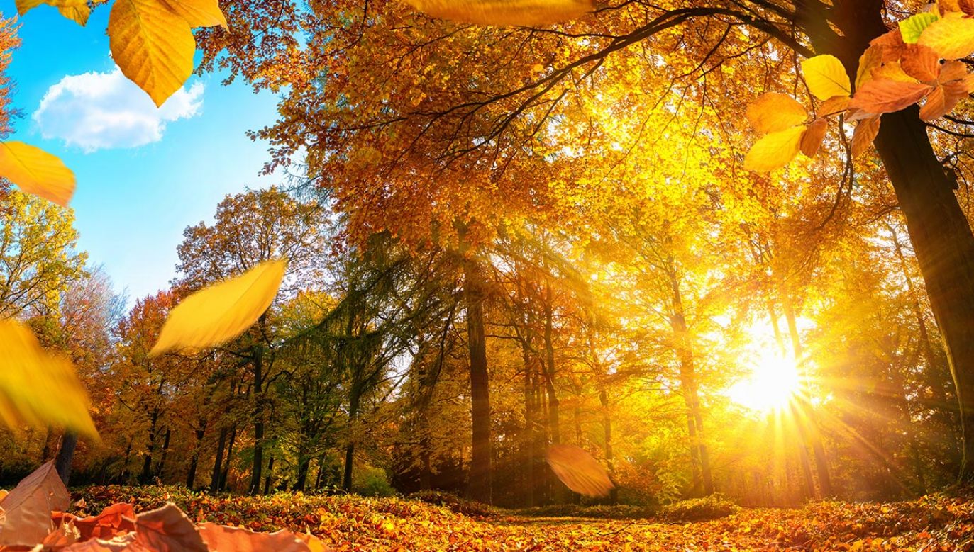 Prognoza pogody: 7-13 października 2022 (fot. Shutterstock/Smileus)