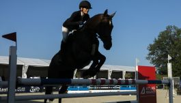 Jeździectwo – skoki przez przeszkody: CSI Biały Las, Wrocław.