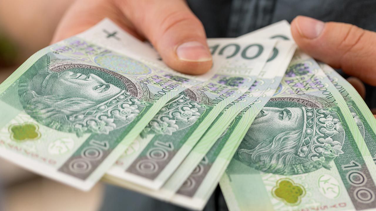 Wielkie korporacje powinny płacić podatki tam, gdzie zarabiają pieniądze (fot. Shutterstock/Andrzej Rostek) Wielkie korporacje powinny płacić podatki tam, gdzie zarabiają pieniądze (fot. Shutterstock/Andrzej Rostek)