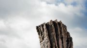 ursula-von-rydingsvard-tylko-sztuka