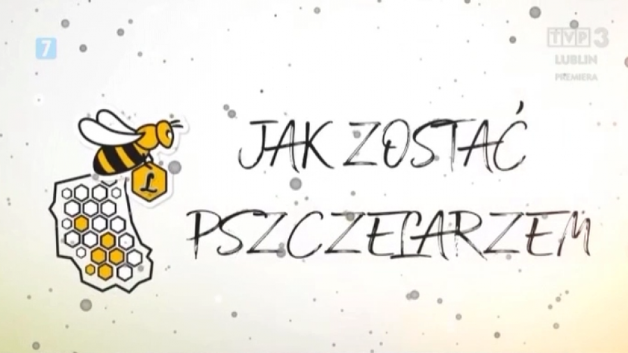 Jak zostać pszczelarzem