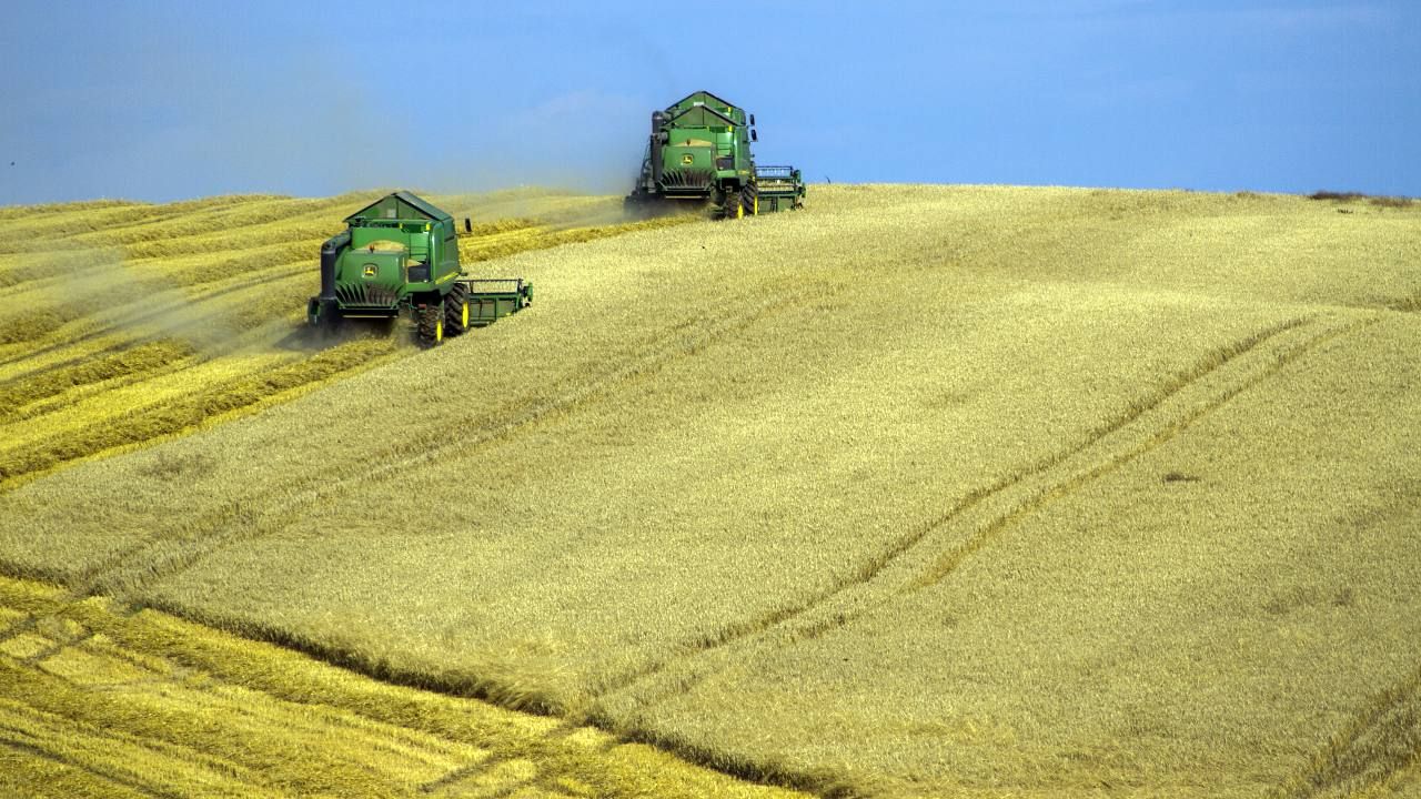 Odnotowywany jest spadek cen zbóż na rynkach światowych (fot. Pexels)