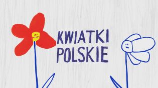 Kwiatki polskie