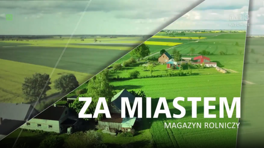 Za miastem