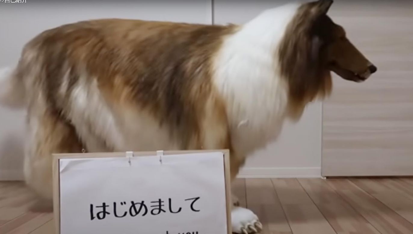 Japończyk przebrany w kostium psa (fot. Youtube)