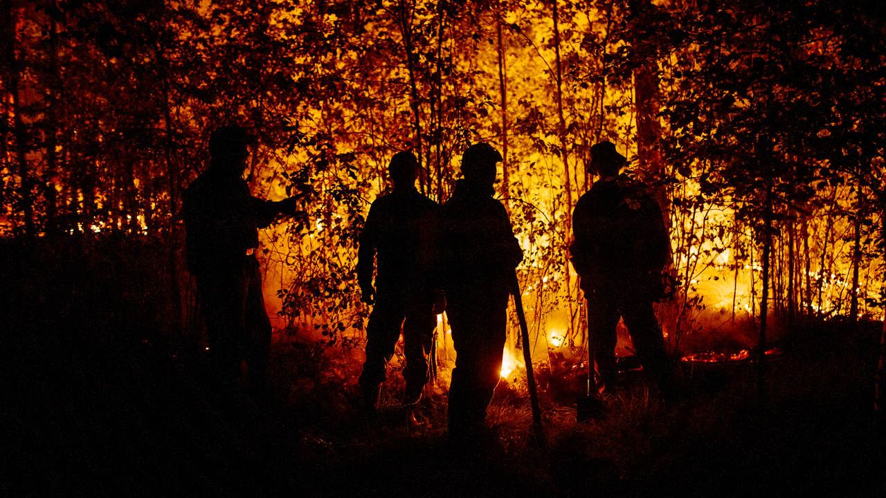 Z ogniem walczą m.in. strażacy z Moskwy (fot. Ivan Nikiforov/Anadolu Agency via Getty Images)