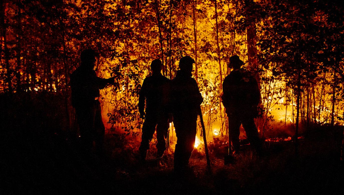 Z ogniem walczą m.in. strażacy z Moskwy (fot. Ivan Nikiforov/Anadolu Agency via Getty Images)
