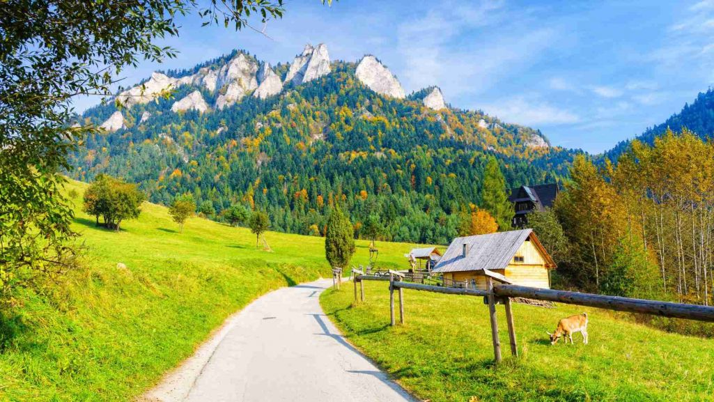 Ochronie ścisłej podlegają 744 ha powierzchni parku, ochronie czynnej 533 ha, a ochronie krajobrazowej 1094 ha. Fot. Milosz Maslanka/Shutterstock