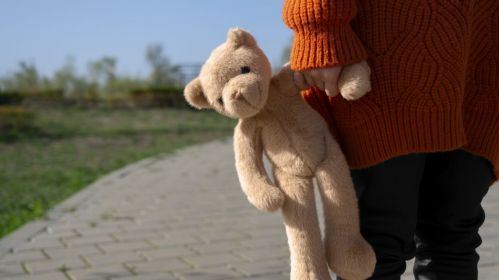 Девочка с плюшевым медведем