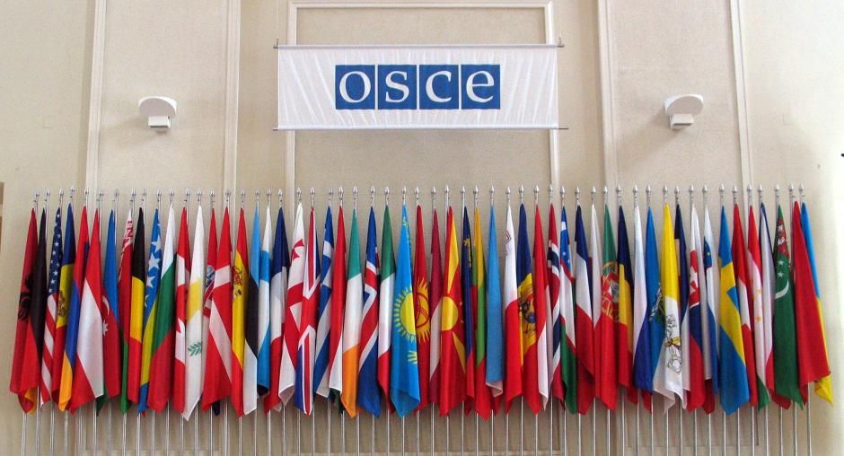 АБСЕ (Фота: Mikhail Evstafiev / OSCE / osce.org)