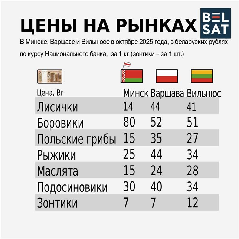 Инфографика: Белсат