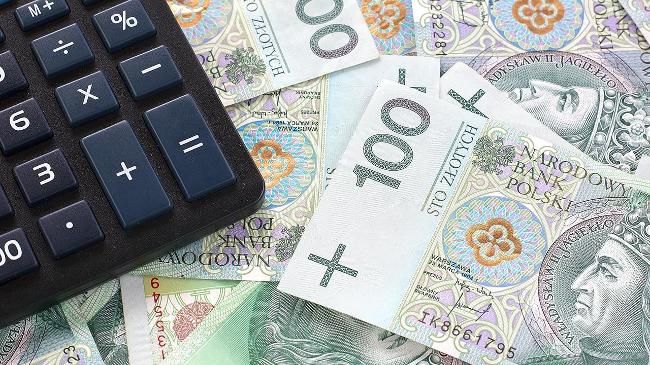 GUS podał marcowe dane o inflacji (fot. Shutterstock/Patryk Michalski)