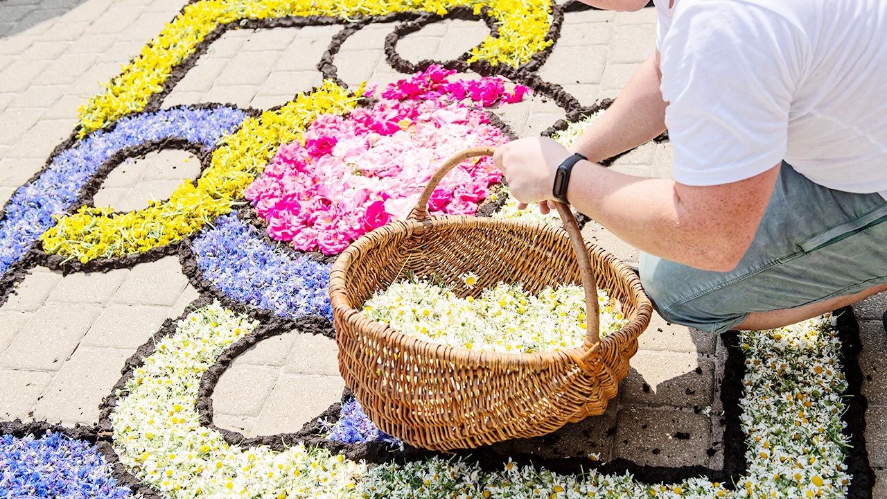 Tradycja układania dywanów kwiatowych kultywowana jest od ponad 200 lat (fot. PAP/Grzegorz Michałowski)