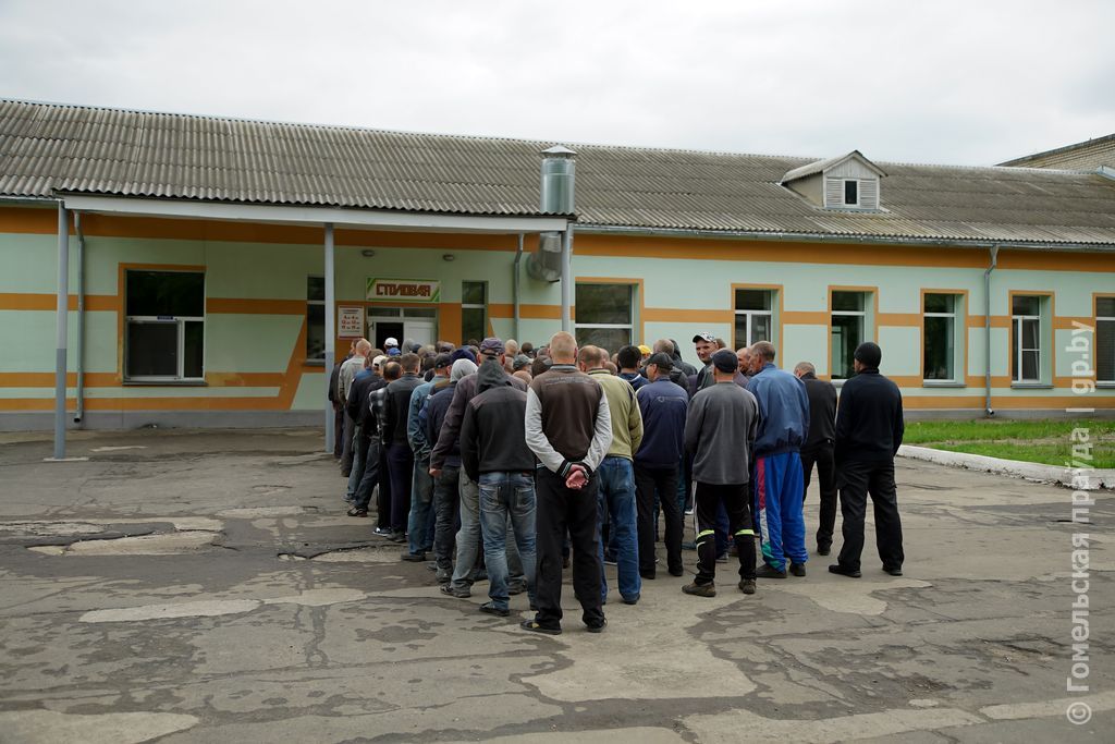 Здымак мае ілюстрацыйны характар. Светлагорскі ЛПП. (Фота: gp.by)