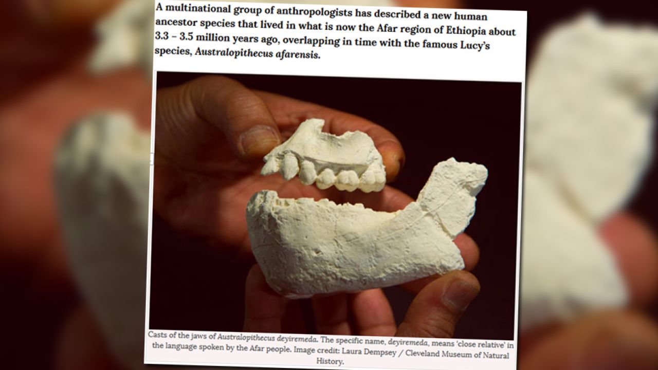 Znaleziono kości szczęki i żuchwy oraz zęby (fot. za: sci-news.com)