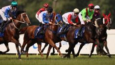 Wyścigi konne, Służewiec 2025 – Gala Derby. Transmisja online na żywo w TVP Sport (06.07.2025)