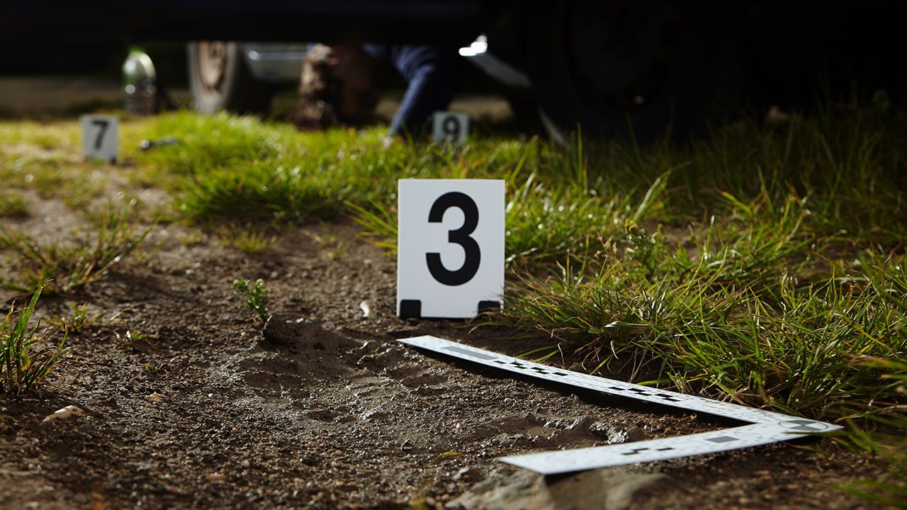 Szczątki zamordowanej kobiety odnaleziono po 19 latach (fot. Shutterstock/Couperfield)