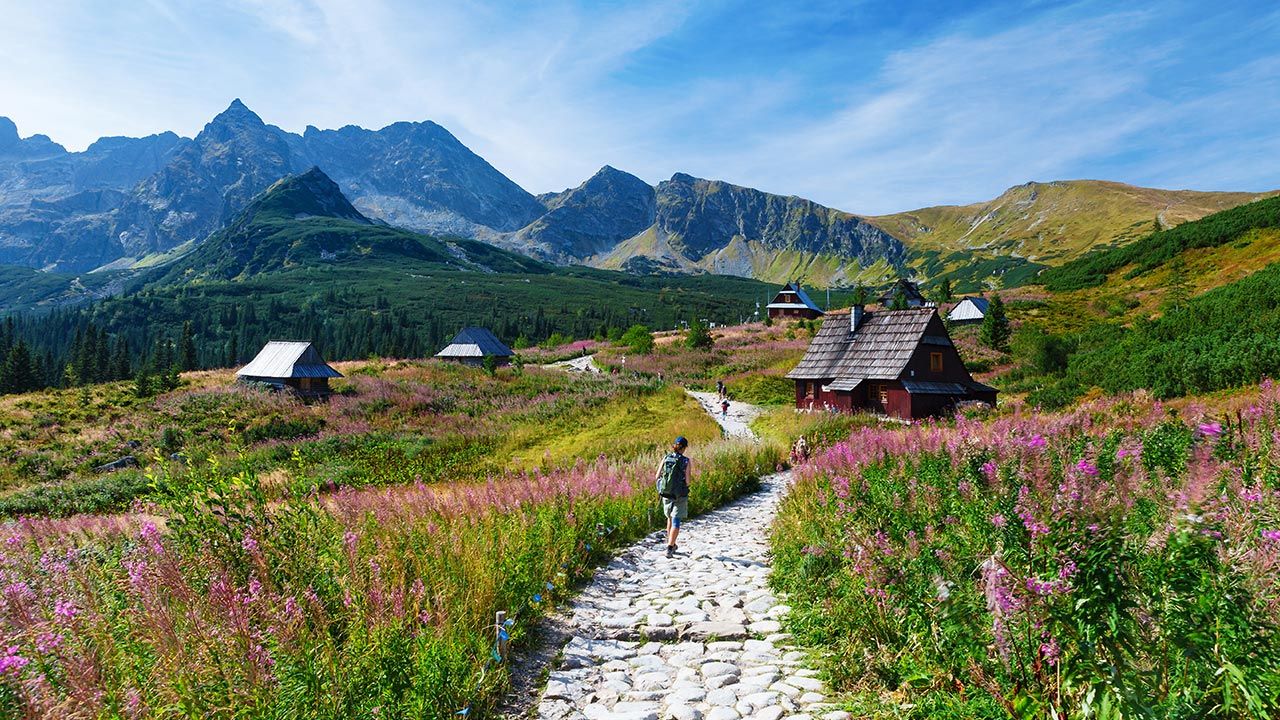 Inny turysta zgłosił napad i porwanie, którego nie było (fot. Shutterstock/Lukasz Pawel Szczepanski) Inny turysta zgłosił napad i porwanie, którego nie było (fot. Shutterstock/Lukasz Pawel Szczepanski)