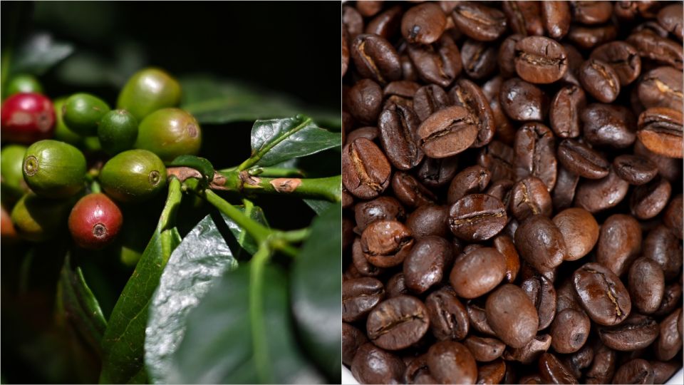 Podwójne espresso!: polski naukowiec udowadnia dobroczynne właściwości kawy