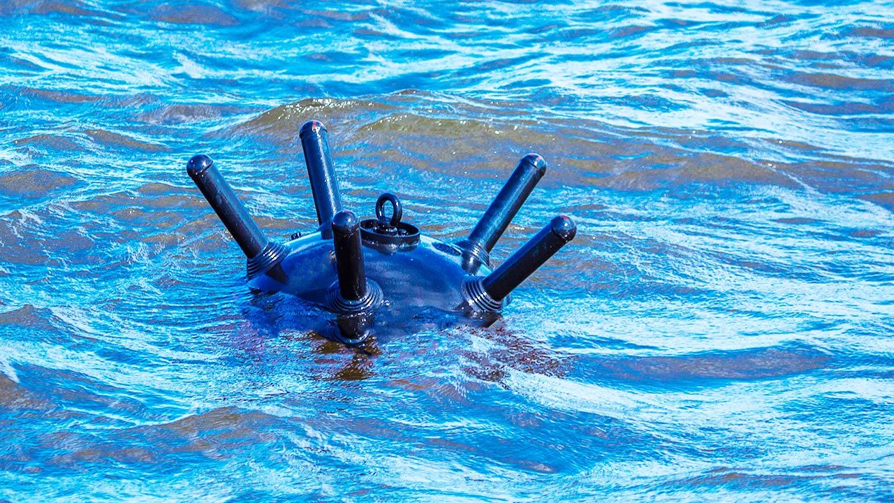 Po Morzu Czarnym ma pływać nawet 400 min (fot. Shutterstock)