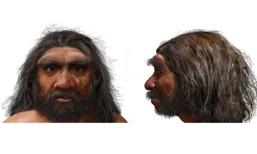 Rekonstrukcja twarzy nowego gatunku Homo sapiens: Człowieka-Smoka. Fot. Chuang Zhao via Muzeum Historii Naturalnej w Londynie
