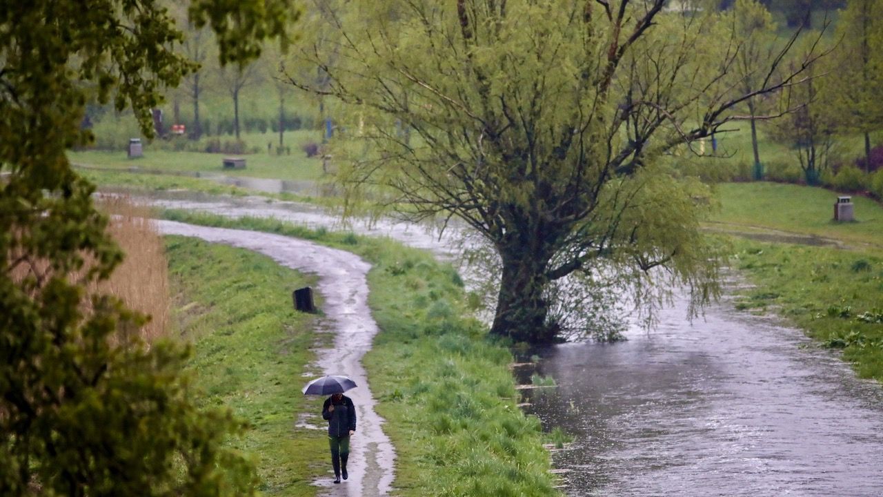 Deszcz To Wyjątkowo Obfity Opad Który Może Doprowadzić Do Powodzi Susza hydrologiczna. Czy deszcz, który pada, coś zmieni? Sergiusz