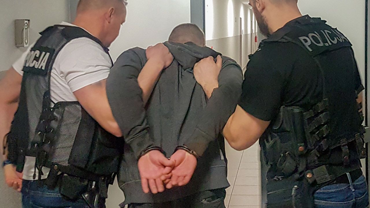 Podejrzanemu grozi do dziesięciu lat więzienia (fot. policja.pl)