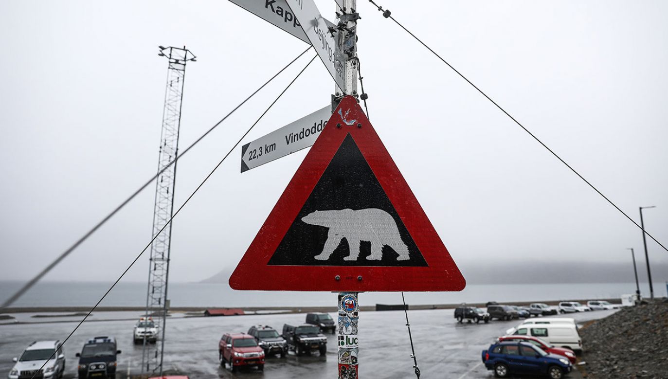 Na Svalbardzie znajduje się Polska Stacja Polarna (fot. Maja Hitij/Getty Images)