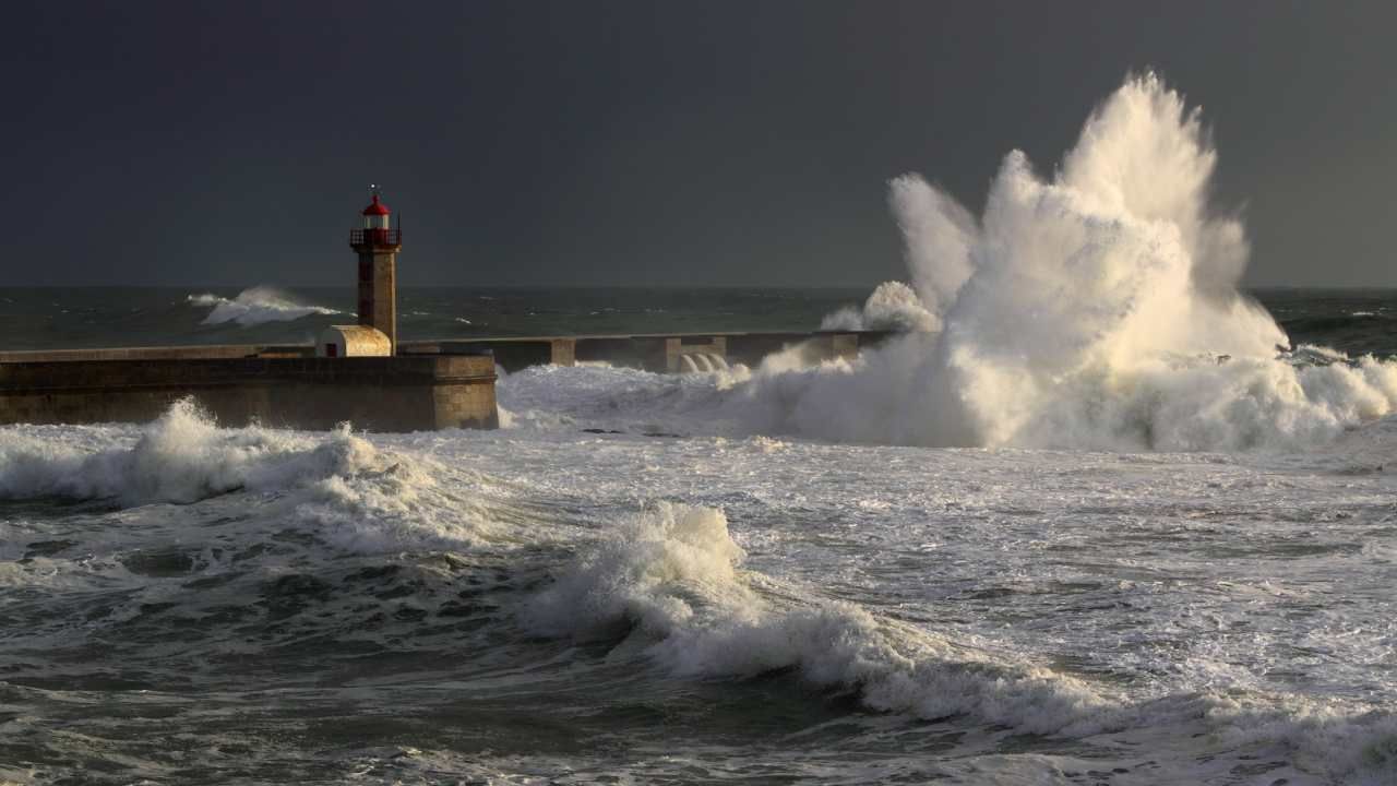 Burza Alfa pojawiła się u wybrzeży Portugalii  (fot. Shutterstock/Zacarias Pereira da Mata)