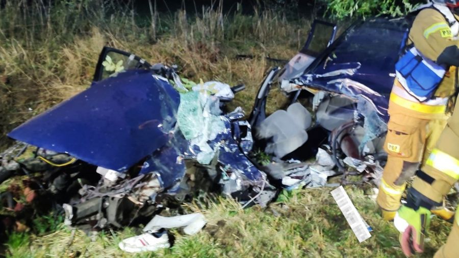 21-latek, Myszkowo, zderzenie z sarną, wypadek (fot. KPP Szamotuły)