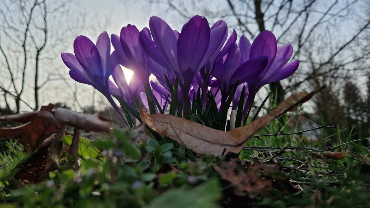 Prognoza pogody na pierwszy dzień kalendarzowej wiosny (fot. PAP/Darek Delmanowicz)