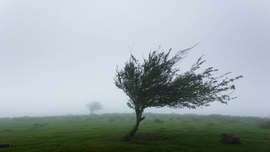  W czasie burz porywy wiatru wyniosą do 70 km/h (fot. unsplash.com)
